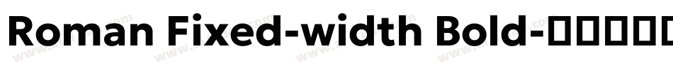 Roman Fixed-width Bold字体转换